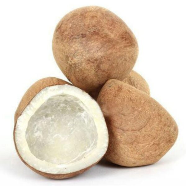 dry-coconut-1